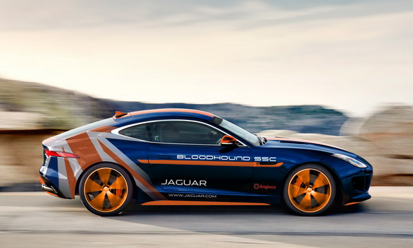 jag_ftype_bloodhound_image_200515